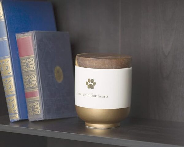 Pet Ceramic Forever in Our Hearts Urn, Pet Memorial, Dog Or Cat Keepsake Urn, Rainbow Bridge, Gold - Image 3