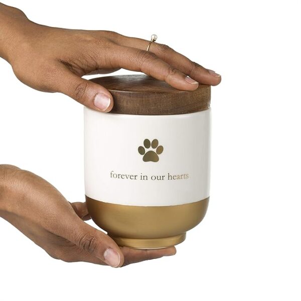 Pet Ceramic Forever in Our Hearts Urn, Pet Memorial, Dog Or Cat Keepsake Urn, Rainbow Bridge, Gold - Image 4