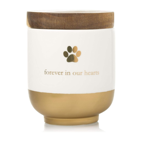 Pet Ceramic Forever in Our Hearts Urn, Pet Memorial, Dog Or Cat Keepsake Urn, Rainbow Bridge, Gold